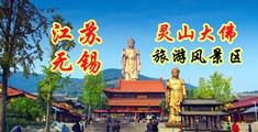 三级黄色欧美男女操庇视频江苏无锡灵山大佛旅游风景区
