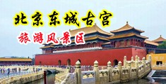 淫香淫色插插网中国北京-东城古宫旅游风景区